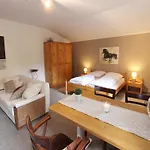 In With Swimming Pool,terrace, Garden
