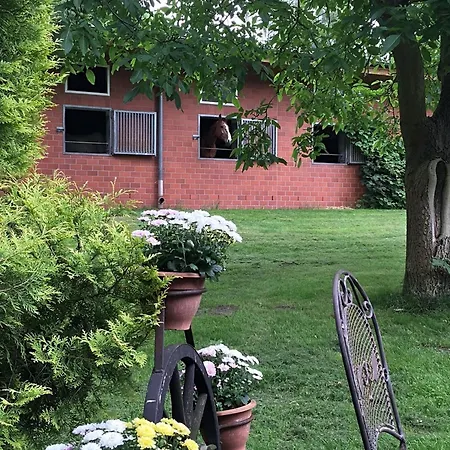 In With Swimming Pool Terrace Garden Kirchdorf (Lower Saxony)