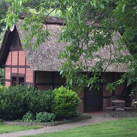 In With Swimming Pool Terrace Garden Holiday home Kirchdorf (Lower Saxony)