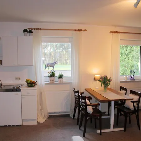 In With Swimming Pool Terrace Garden Holiday home *