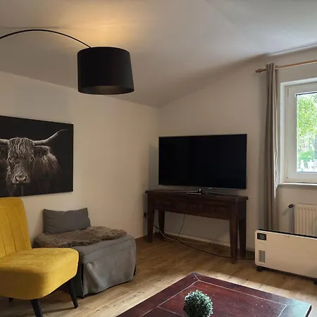 In With Swimming Pool,terrace, Garden