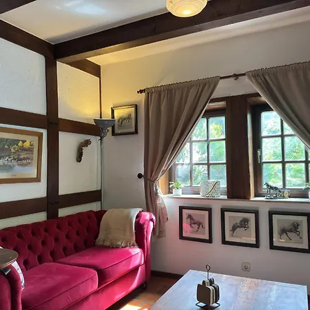 펜션 In With Swimming Pool,terrace, Garden