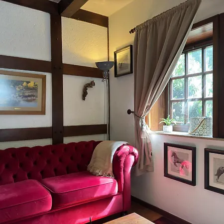 In With Swimming Pool,terrace, Garden 키르히도르프