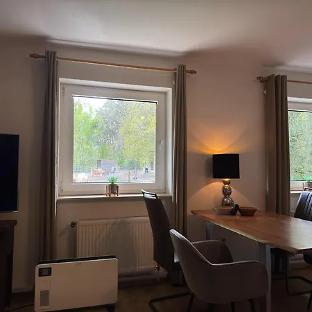 In With Swimming Pool,terrace, Garden
