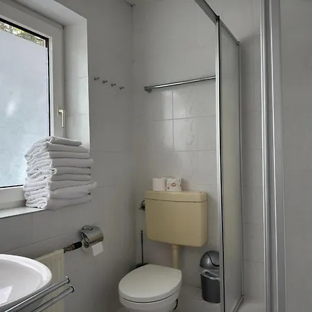In With Swimming Pool,terrace, Garden